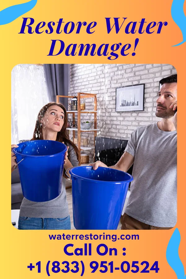 water restoration Local Disaster Cleanup Partners Amherst
