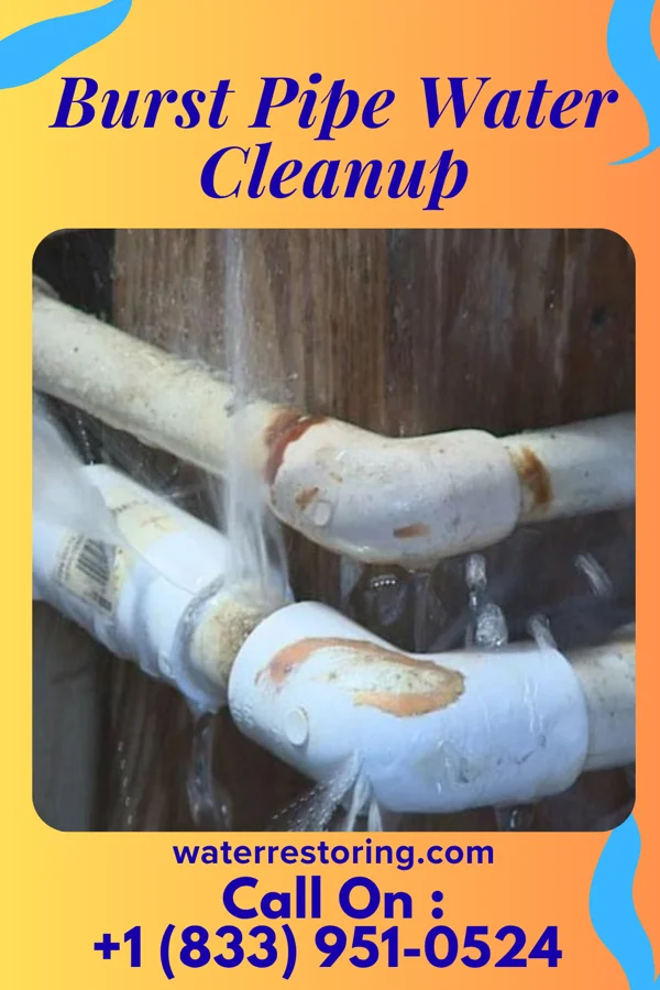 Burst Pipe Water Cleanup in Amherst, OH