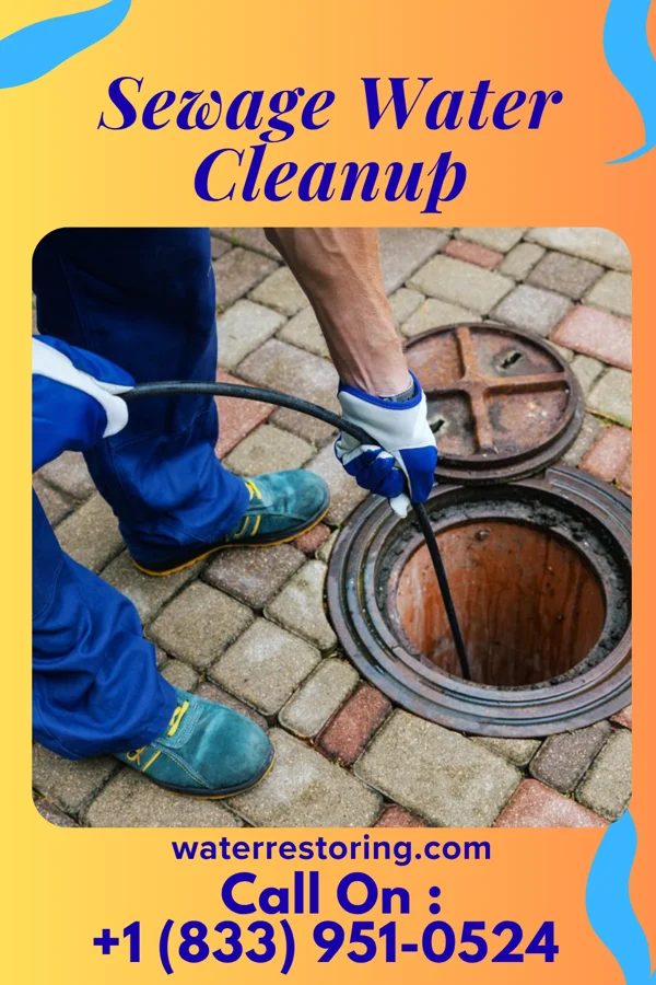 Sewage Water Cleanup in Amherst, OH